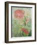 Pale Salmon Pink Rose Against a Window Pane with Heavy Condensation-Woolfitt Adam-Framed Photographic Print