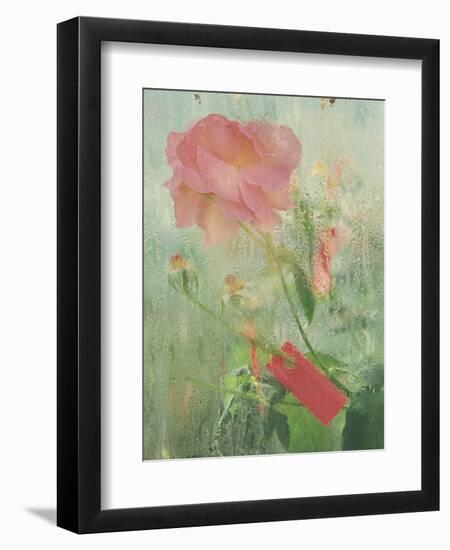 Pale Salmon Pink Rose Against a Window Pane with Heavy Condensation-Woolfitt Adam-Framed Photographic Print