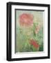 Pale Salmon Pink Rose Against a Window Pane with Heavy Condensation-Woolfitt Adam-Framed Photographic Print