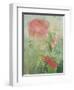 Pale Salmon Pink Rose Against a Window Pane with Heavy Condensation-Woolfitt Adam-Framed Photographic Print