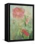 Pale Salmon Pink Rose Against a Window Pane with Heavy Condensation-Woolfitt Adam-Framed Stretched Canvas