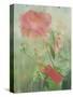 Pale Salmon Pink Rose Against a Window Pane with Heavy Condensation-Woolfitt Adam-Stretched Canvas