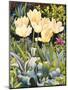 Pale Tulips-Christopher Ryland-Mounted Giclee Print