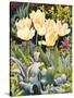 Pale Tulips-Christopher Ryland-Stretched Canvas