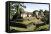 Palenque, UNESCO World Heritage Site, Mexico, North America-Tony Waltham-Framed Stretched Canvas