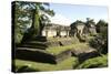 Palenque, UNESCO World Heritage Site, Mexico, North America-Tony Waltham-Stretched Canvas