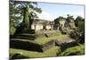 Palenque, UNESCO World Heritage Site, Mexico, North America-Tony Waltham-Mounted Photographic Print