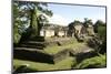 Palenque, UNESCO World Heritage Site, Mexico, North America-Tony Waltham-Mounted Photographic Print