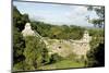 Palenque, UNESCO World Heritage Site, Mexico, North America-Tony Waltham-Mounted Photographic Print