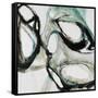 Paleo IV-Farrell Douglass-Framed Stretched Canvas