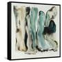 Paleo V-Farrell Douglass-Framed Stretched Canvas