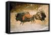 Paleolithic cave-painting of Bison from Lascaux, France. c50,000-c10,000 BC-Unknown-Framed Stretched Canvas