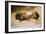 Paleolithic cave-painting of Bison from Lascaux, France. c50,000-c10,000 BC-Unknown-Framed Giclee Print