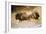 Paleolithic cave-painting of Bison from Lascaux, France. c50,000-c10,000 BC-Unknown-Framed Giclee Print