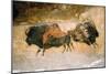 Paleolithic cave-painting of Bison from Lascaux, France. c50,000-c10,000 BC-Unknown-Mounted Giclee Print