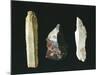 Paleolithic Flint Tools, Scrapers-null-Mounted Giclee Print