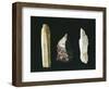 Paleolithic Flint Tools, Scrapers-null-Framed Giclee Print