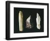 Paleolithic Flint Tools, Scrapers-null-Framed Giclee Print