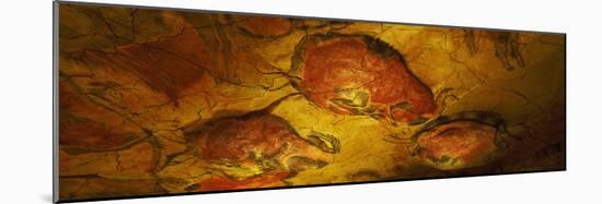 Paleolithic Paintings, Altamira Cave, Santillana Del Mar, Cantabria, Spain-null-Mounted Photographic Print