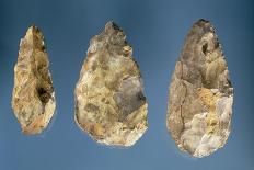 Three Flint Tools-Paleolithic-Stretched Canvas