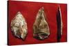Paleolithic Tools-null-Stretched Canvas