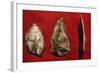 Paleolithic Tools-null-Framed Giclee Print