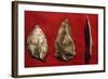 Paleolithic Tools-null-Framed Giclee Print
