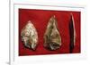 Paleolithic Tools-null-Framed Premium Giclee Print