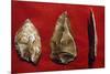 Paleolithic Tools-null-Mounted Premium Giclee Print