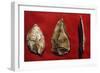 Paleolithic Tools-null-Framed Giclee Print