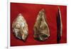 Paleolithic Tools-null-Framed Giclee Print