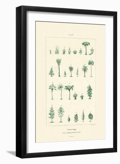 Paleontology, 1833-39-null-Framed Giclee Print