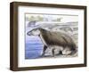 Paleoparadoxia-null-Framed Photographic Print