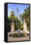 Palermo Botanical Gardens (Orto Botanico), Palermo, Sicily, Italy, Europe-Matthew Williams-Ellis-Framed Stretched Canvas