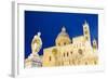 Palermo Cathedral at Night (Duomo Di Palermo)-Matthew Williams-Ellis-Framed Photographic Print