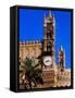 Palermo Cathedral, Palermo, Italy-John Elk III-Framed Stretched Canvas