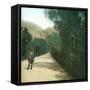 Palermo (Sicily), Alley-Leon, Levy et Fils-Framed Stretched Canvas