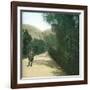 Palermo (Sicily), Alley-Leon, Levy et Fils-Framed Photographic Print