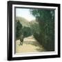 Palermo (Sicily), Alley-Leon, Levy et Fils-Framed Photographic Print