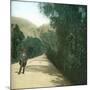 Palermo (Sicily), Alley-Leon, Levy et Fils-Mounted Photographic Print