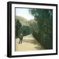 Palermo (Sicily), Alley-Leon, Levy et Fils-Framed Photographic Print