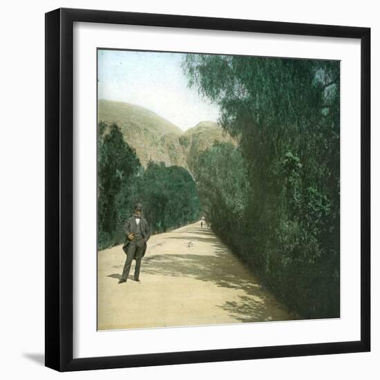 Palermo (Sicily), Alley-Leon, Levy et Fils-Framed Photographic Print