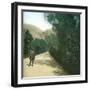 Palermo (Sicily), Alley-Leon, Levy et Fils-Framed Photographic Print