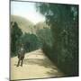 Palermo (Sicily), Alley-Leon, Levy et Fils-Mounted Photographic Print