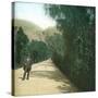 Palermo (Sicily), Alley-Leon, Levy et Fils-Stretched Canvas