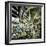 Palermo (Sicily), the Catacombs-Leon, Levy et Fils-Framed Photographic Print