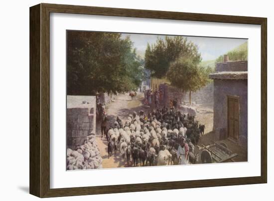 Palestine', c1930s-Ewing Galloway-Framed Giclee Print