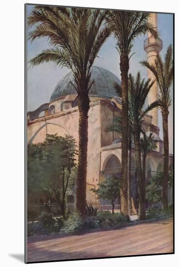 Palestine', c1930s-Donald Mcleish-Mounted Giclee Print