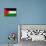 Palestine Flag Design with Wood Patterning - Flags of the World Series-Philippe Hugonnard-Art Print displayed on a wall