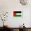 Palestine Flag Design with Wood Patterning - Flags of the World Series-Philippe Hugonnard-Framed Art Print displayed on a wall